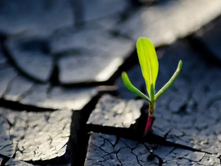 Gambar-Iman-Kepada-Hari-Berbangkit-Fondasi-Tawakal-dalm-Kehidupan-dawah