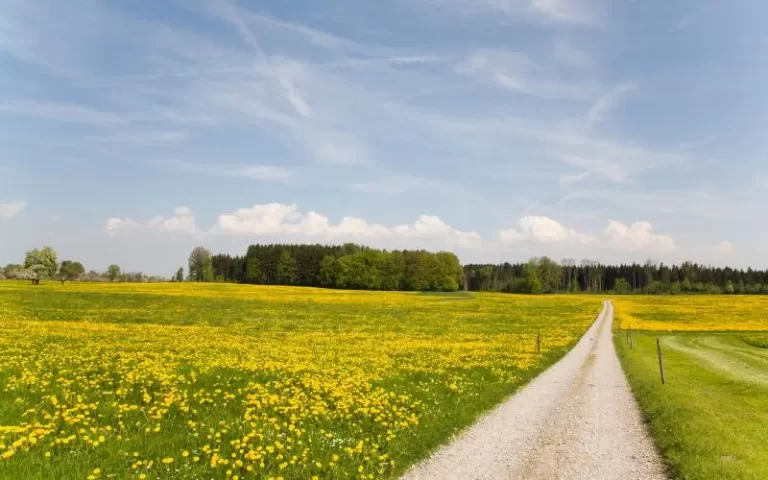 Khutbah-Jumat-Singkat-Kemuliaan-Istiqamah-dalam-Beramal-dakwah